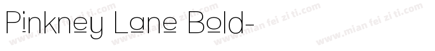 Pinkney Lane Bold字体转换